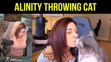 alinity cat|A Popular Gamer Threw Her Cat Live On Twitch, Sparking A。